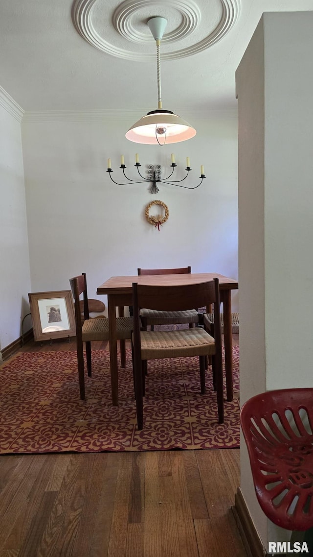 1004 Taylor Dr, Carbondale, IL 62901 - photo 83