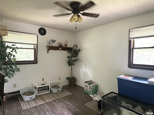 1034 Cedar Creek Rd, Makanda, IL 62958 - photo 12