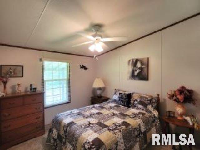 2035 Mount Hebron Rd, Makanda, IL 62958 - photo 18