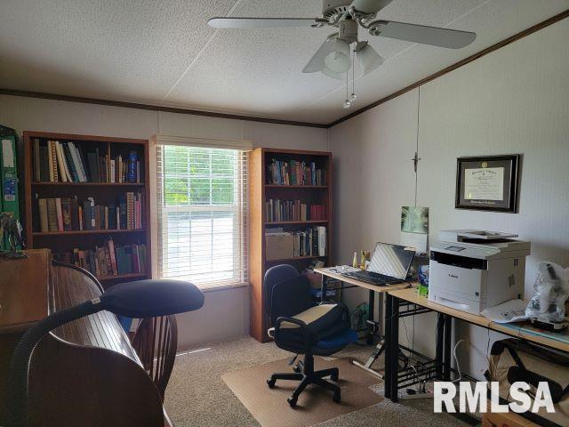 2035 Mount Hebron Rd, Makanda, IL 62958 - photo 23