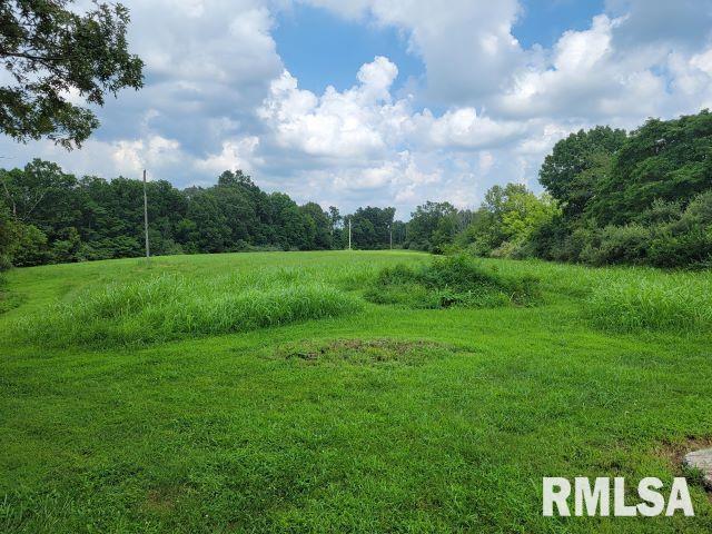 2035 Mount Hebron Rd, Makanda, IL 62958 - photo 36