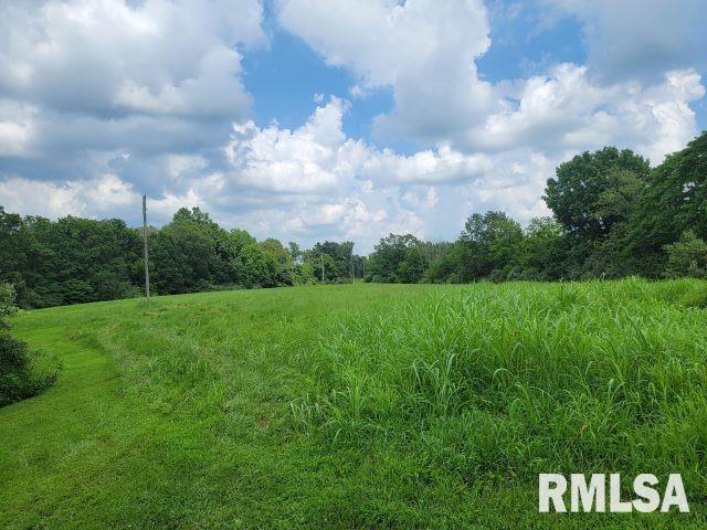 2035 Mount Hebron Rd, Makanda, IL 62958 - photo 37