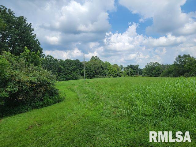 2035 Mount Hebron Rd, Makanda, IL 62958 - photo 38