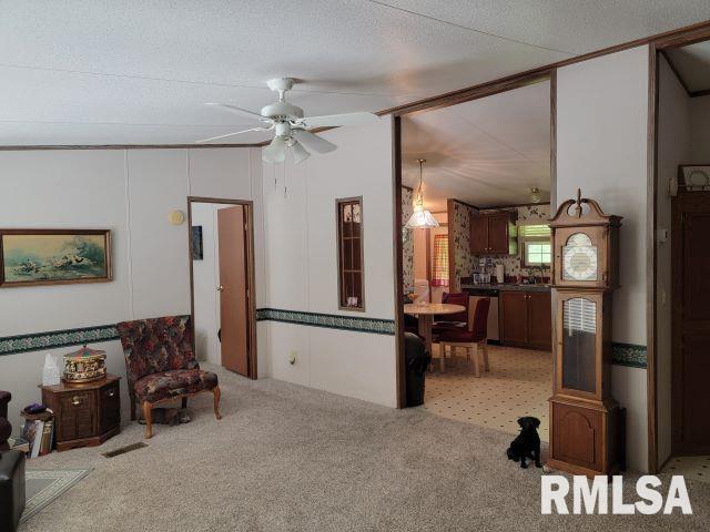2035 Mount Hebron Rd, Makanda, IL 62958 - photo 5