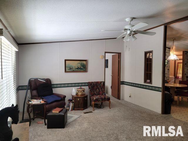 2035 Mount Hebron Rd, Makanda, IL 62958 - photo 6