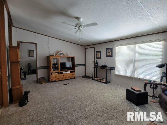 2035 Mount Hebron Rd, Makanda, IL 62958 - photo 7