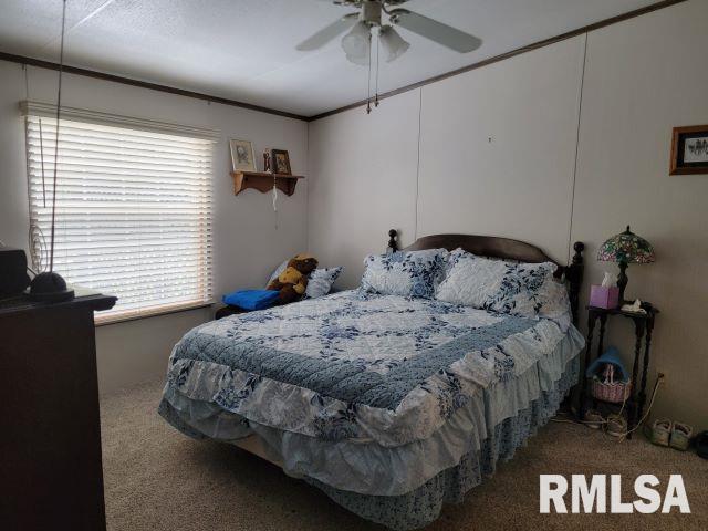 2035 Mount Hebron Rd, Makanda, IL 62958 - photo 8