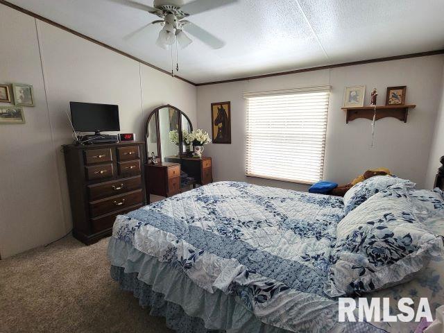 2035 Mount Hebron Rd, Makanda, IL 62958 - photo 9