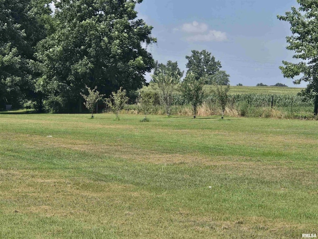 00 Cherry Ave, Vergennes, IL 62994 - photo 4