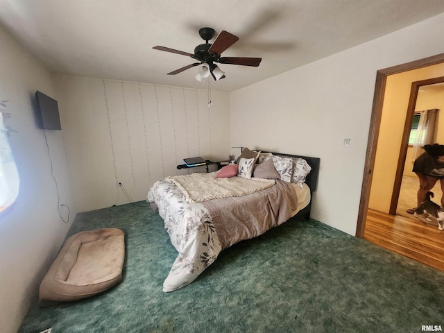 4317 State Route 127th Hwy, Pinckneyville, IL 62274 - photo 19