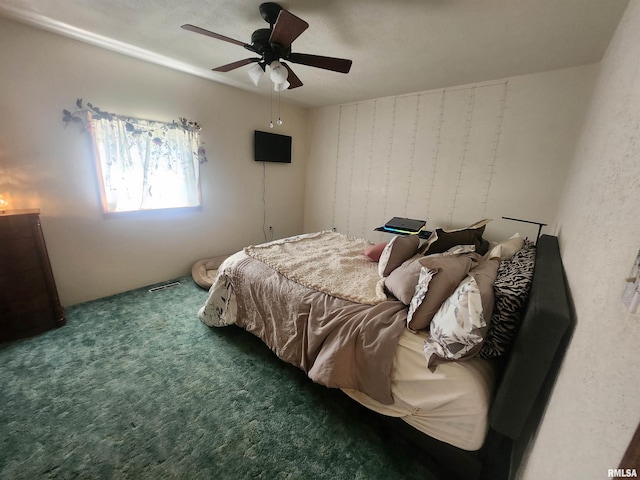 4317 State Route 127th Hwy, Pinckneyville, IL 62274 - photo 20