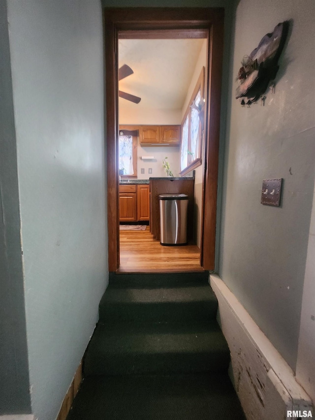 4317 State Route 127th Hwy, Pinckneyville, IL 62274 - photo 27