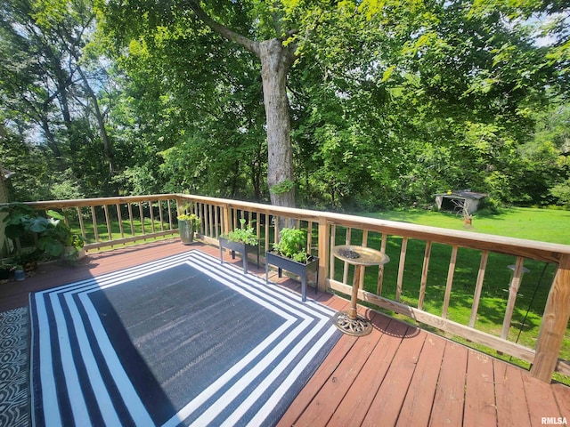 4317 State Route 127th Hwy, Pinckneyville, IL 62274 - photo 5
