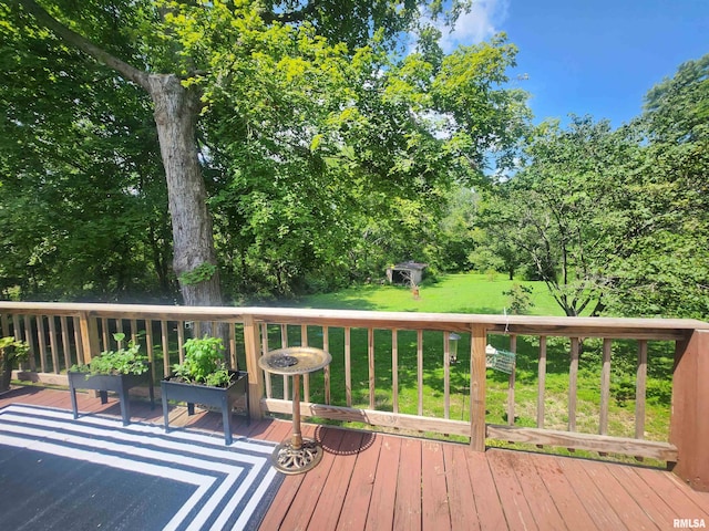 4317 State Route 127th Hwy, Pinckneyville, IL 62274 - photo 7
