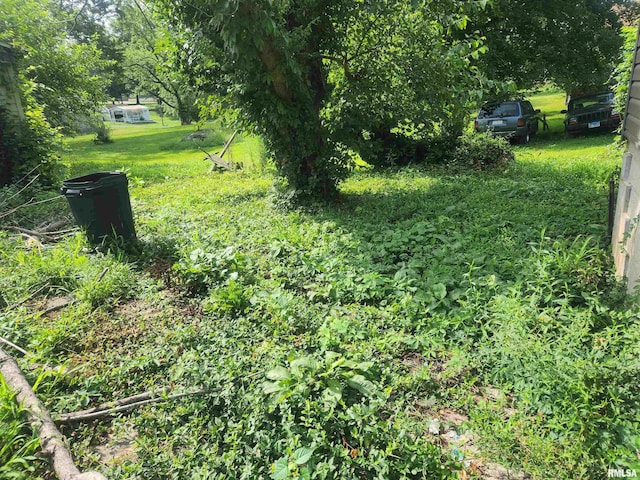6 Fallon St, Pinckneyville, IL 62274 - photo 4