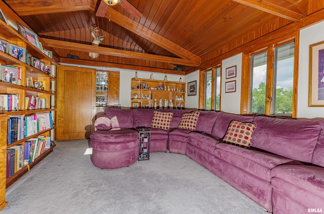 1114 S Perrine St, Centralia, IL 62801 - photo 43