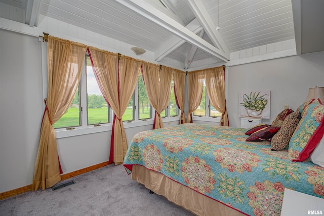 1114 S Perrine St, Centralia, IL 62801 - photo 49