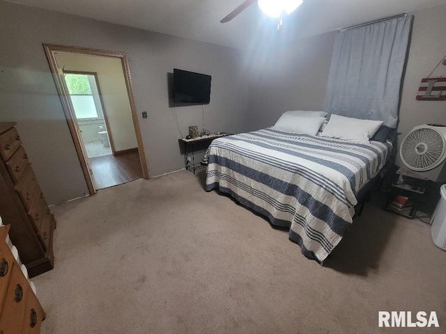 225 N Main St, New Minden, IL 62263 - photo 18
