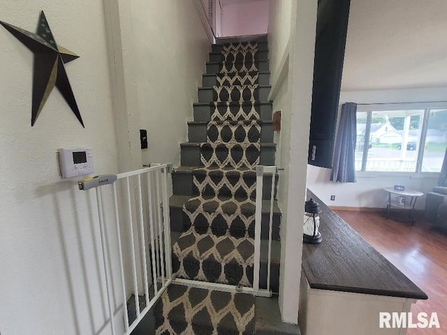 225 N Main St, New Minden, IL 62263 - photo 25