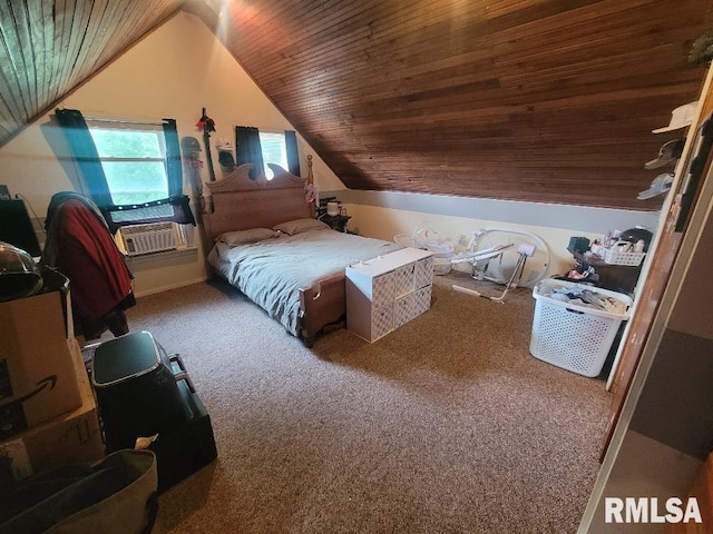225 N Main St, New Minden, IL 62263 - photo 28