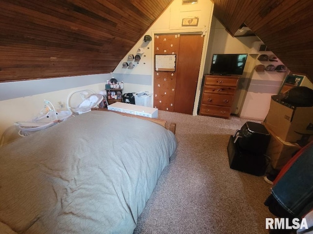 225 N Main St, New Minden, IL 62263 - photo 29