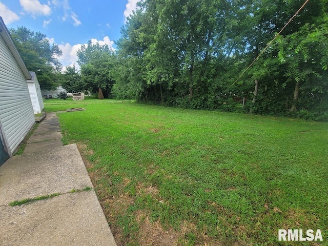 225 N Main St, New Minden, IL 62263 - photo 35