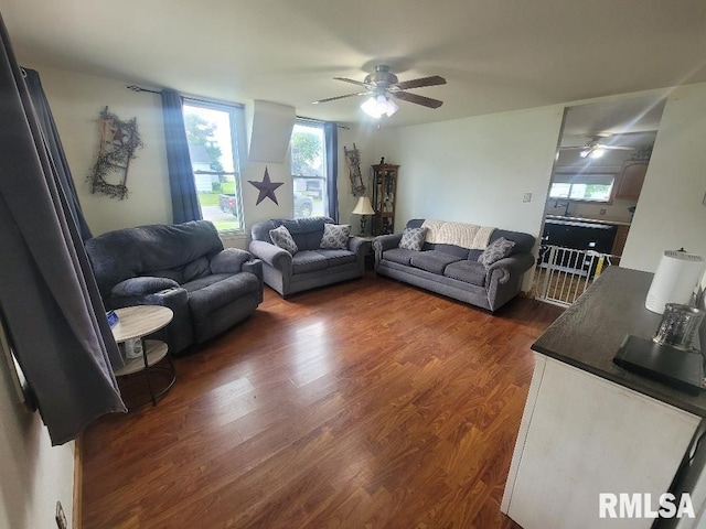 225 N Main St, New Minden, IL 62263 - photo 10