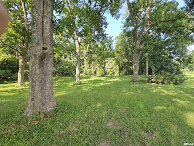 9758 E Richview Rd, Mount Vernon, IL 62864 - photo 18