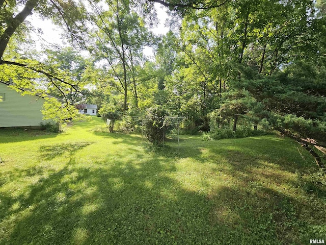 9758 E Richview Rd, Mount Vernon, IL 62864 - photo 19