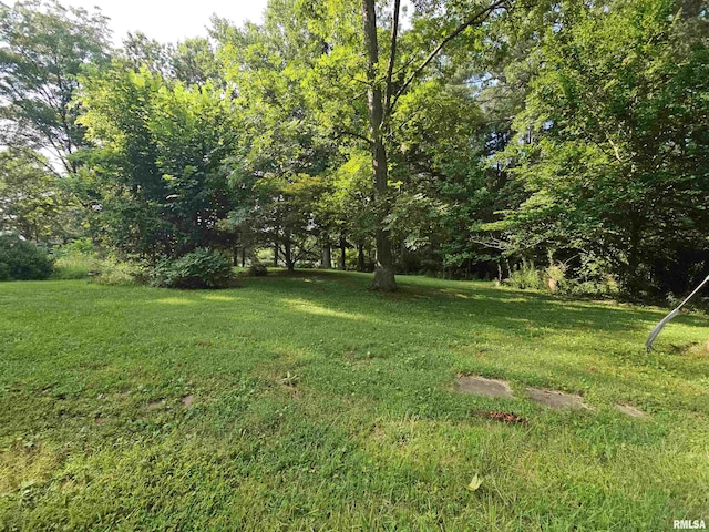 9758 E Richview Rd, Mount Vernon, IL 62864 - photo 20