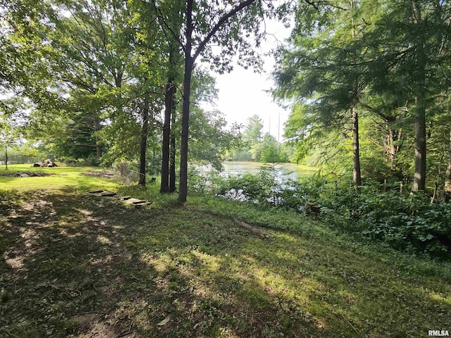 9758 E Richview Rd, Mount Vernon, IL 62864 - photo 23
