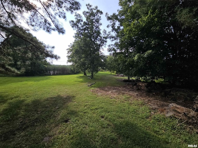 9758 E Richview Rd, Mount Vernon, IL 62864 - photo 24