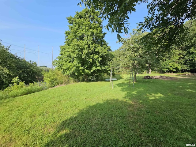 9758 E Richview Rd, Mount Vernon, IL 62864 - photo 25