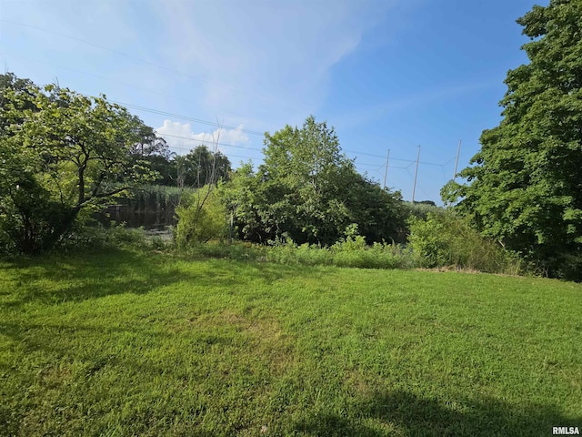 9758 E Richview Rd, Mount Vernon, IL 62864 - photo 26