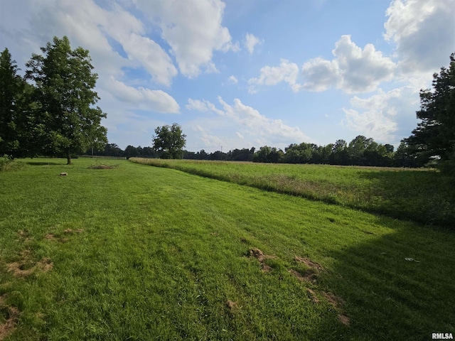 9758 E Richview Rd, Mount Vernon, IL 62864 - photo 27