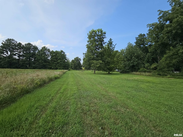 9758 E Richview Rd, Mount Vernon, IL 62864 - photo 28