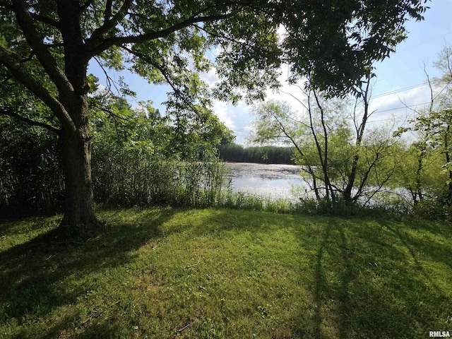 9758 E Richview Rd, Mount Vernon, IL 62864 - photo 10