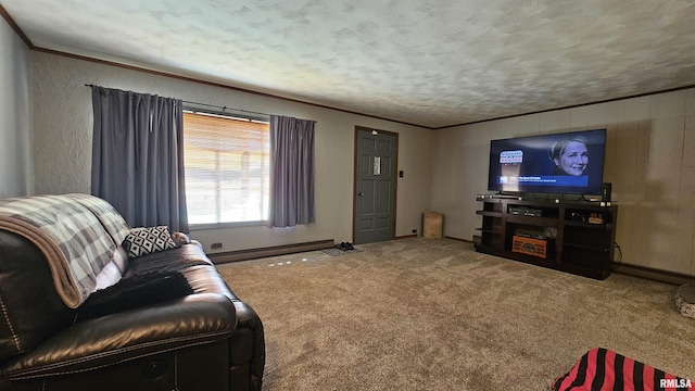 1210 Peterson Ave, Johnston City, IL 62951 - photo 11