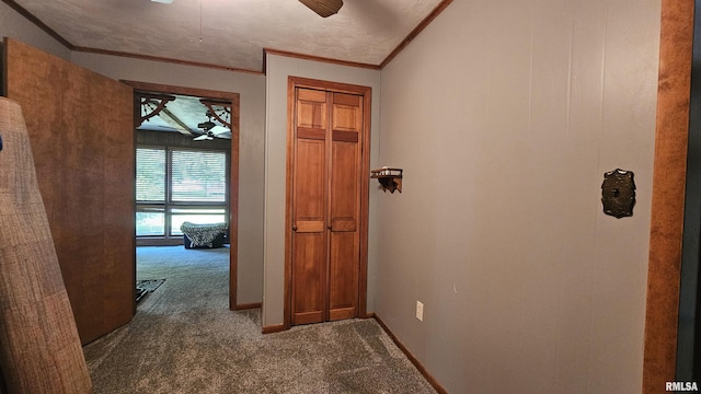 1210 Peterson Ave, Johnston City, IL 62951 - photo 14