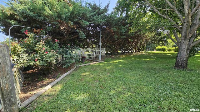 1210 Peterson Ave, Johnston City, IL 62951 - photo 27