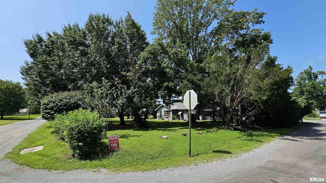 1210 Peterson Ave, Johnston City, IL 62951 - photo 36