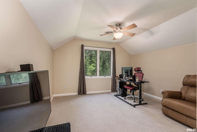 14 Egret Lake Rd, Carbondale, IL 62903 - photo 29