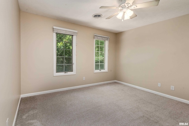 14 Egret Lake Rd, Carbondale, IL 62903 - photo 35