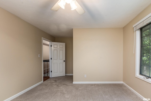 14 Egret Lake Rd, Carbondale, IL 62903 - photo 36