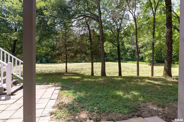 14 Egret Lake Rd, Carbondale, IL 62903 - photo 51