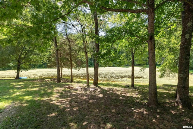 14 Egret Lake Rd, Carbondale, IL 62903 - photo 64