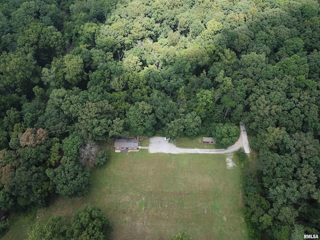 2799 Cypress Dr, Flora, IL 62839 - photo 36