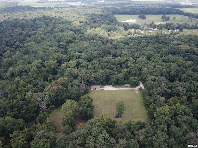 2799 Cypress Dr, Flora, IL 62839 - photo 38