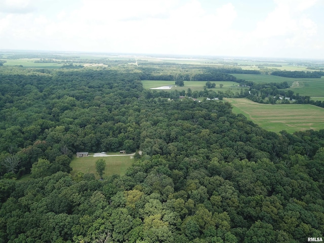 2799 Cypress Dr, Flora, IL 62839 - photo 40
