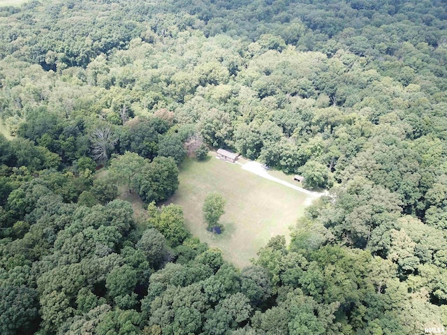 2799 Cypress Dr, Flora, IL 62839 - photo 42